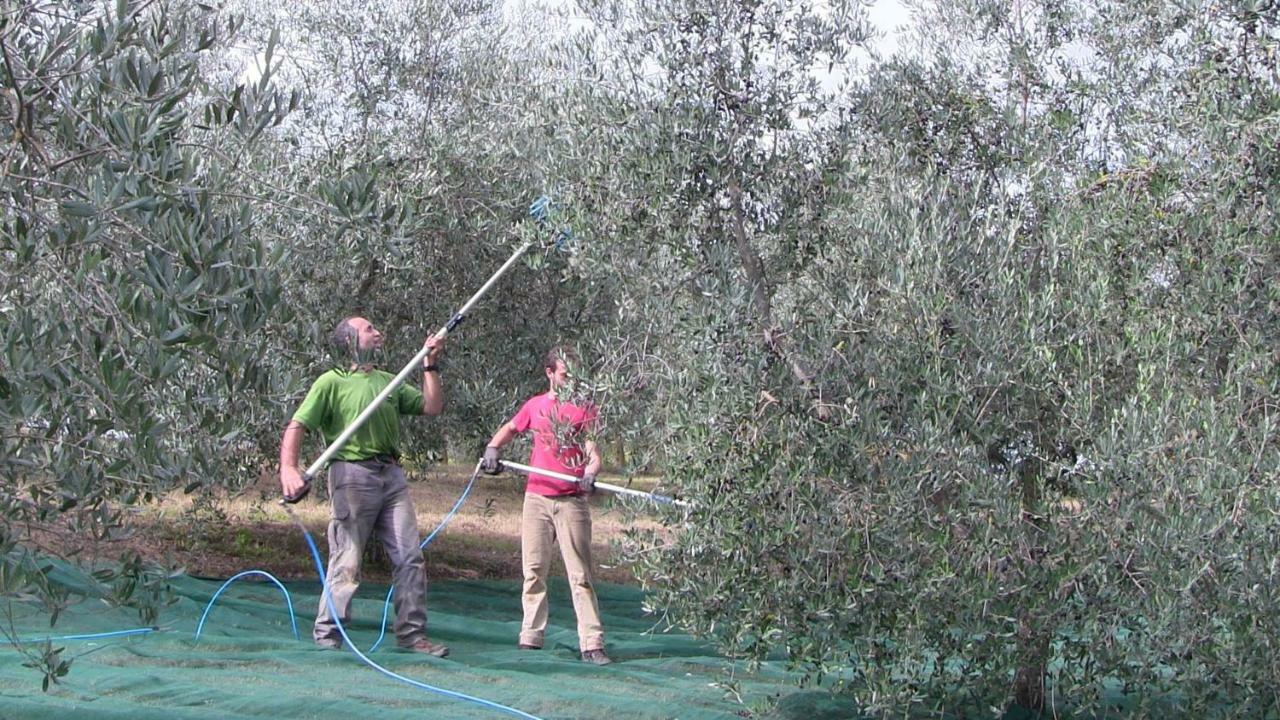 Agriturismo Frallarenza Ficulle Esterno foto