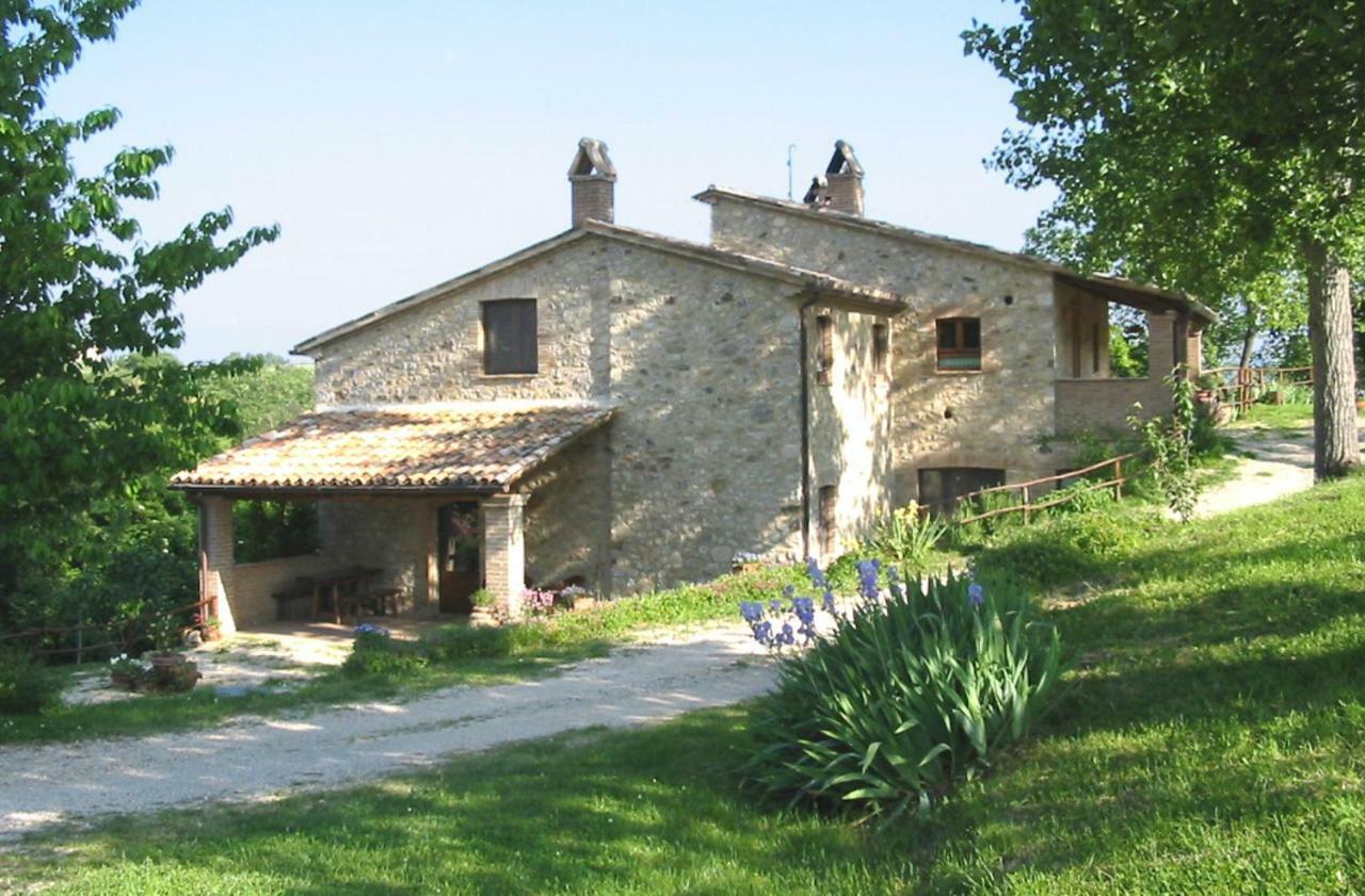 Agriturismo Frallarenza Ficulle Esterno foto