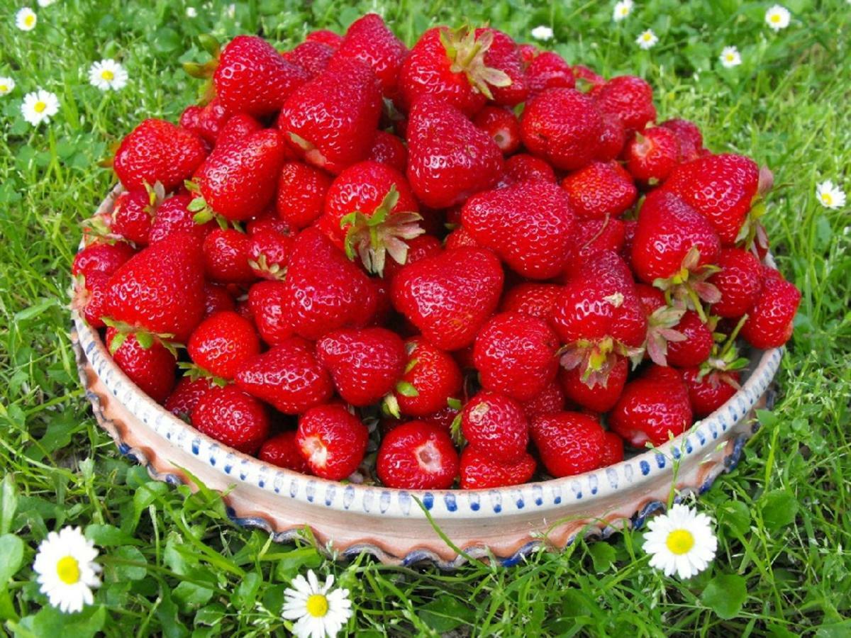 Agriturismo Frallarenza Ficulle Esterno foto