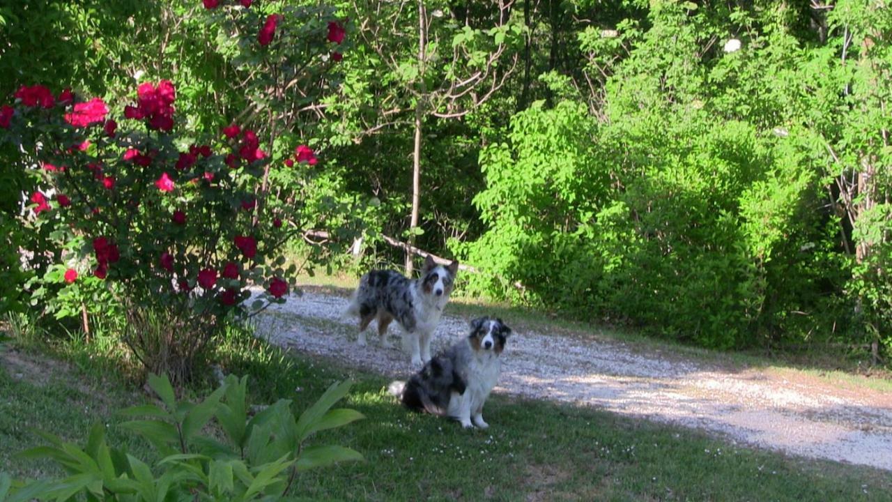 Agriturismo Frallarenza Ficulle Esterno foto