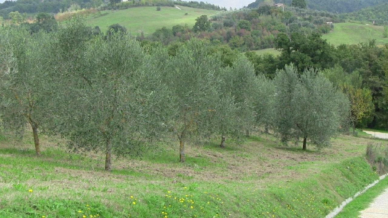 Agriturismo Frallarenza Ficulle Esterno foto
