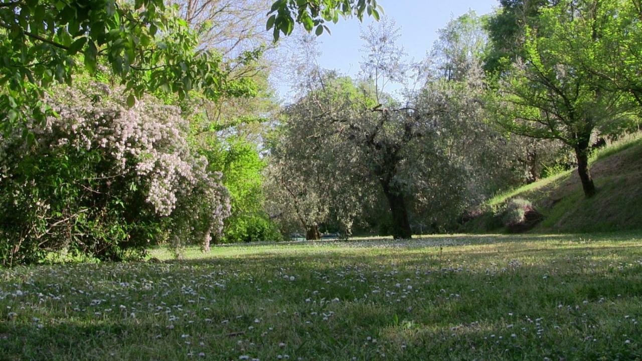 Agriturismo Frallarenza Ficulle Esterno foto