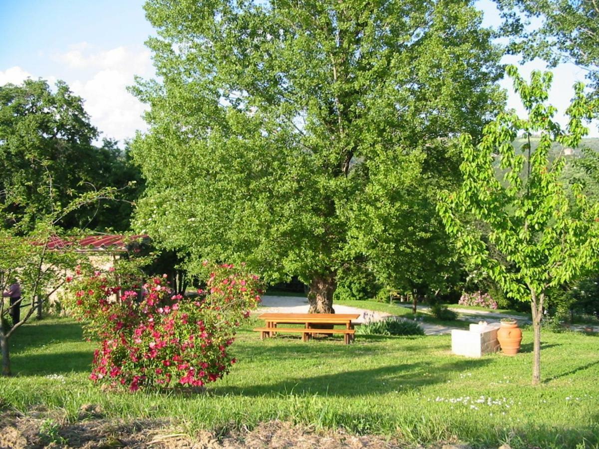 Agriturismo Frallarenza Ficulle Esterno foto