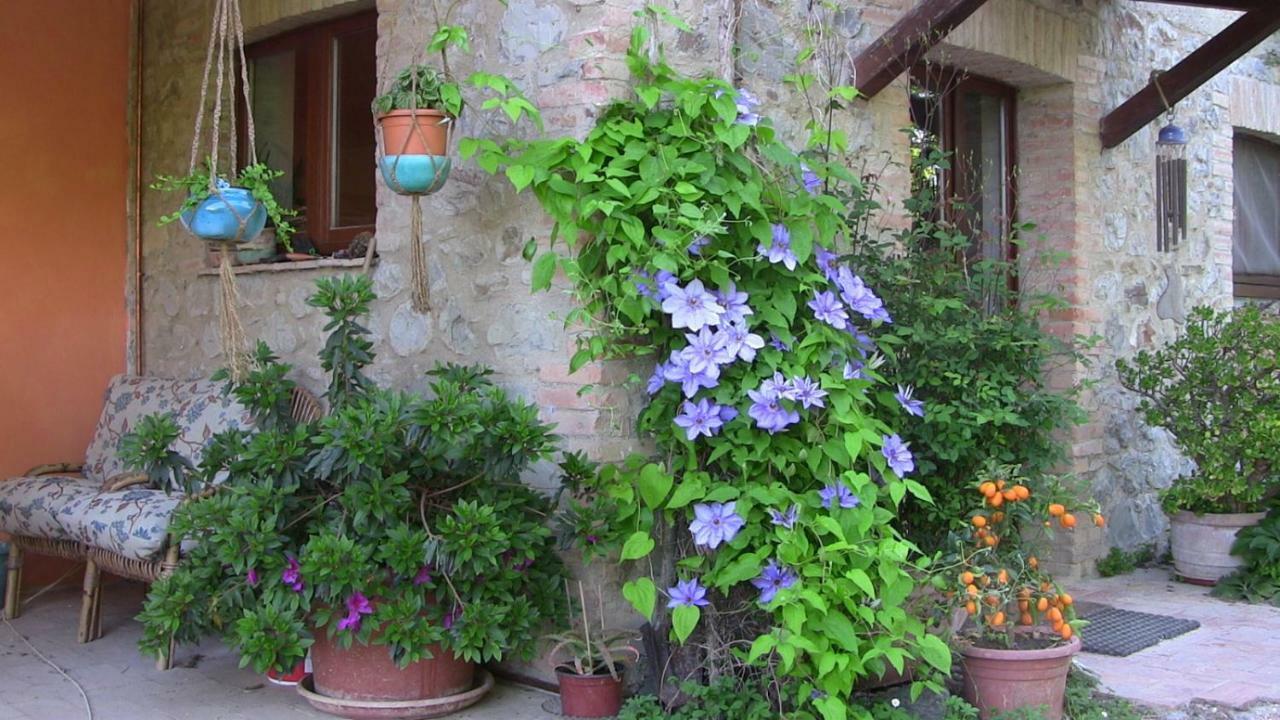 Agriturismo Frallarenza Ficulle Esterno foto